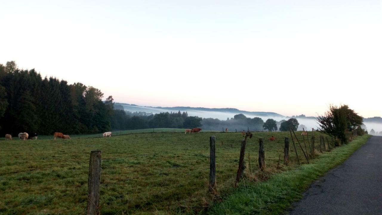 La Croisee Des Champs, Gite Entre Durbuy Et La Roche En Ardenne Érezée Eksteriør billede